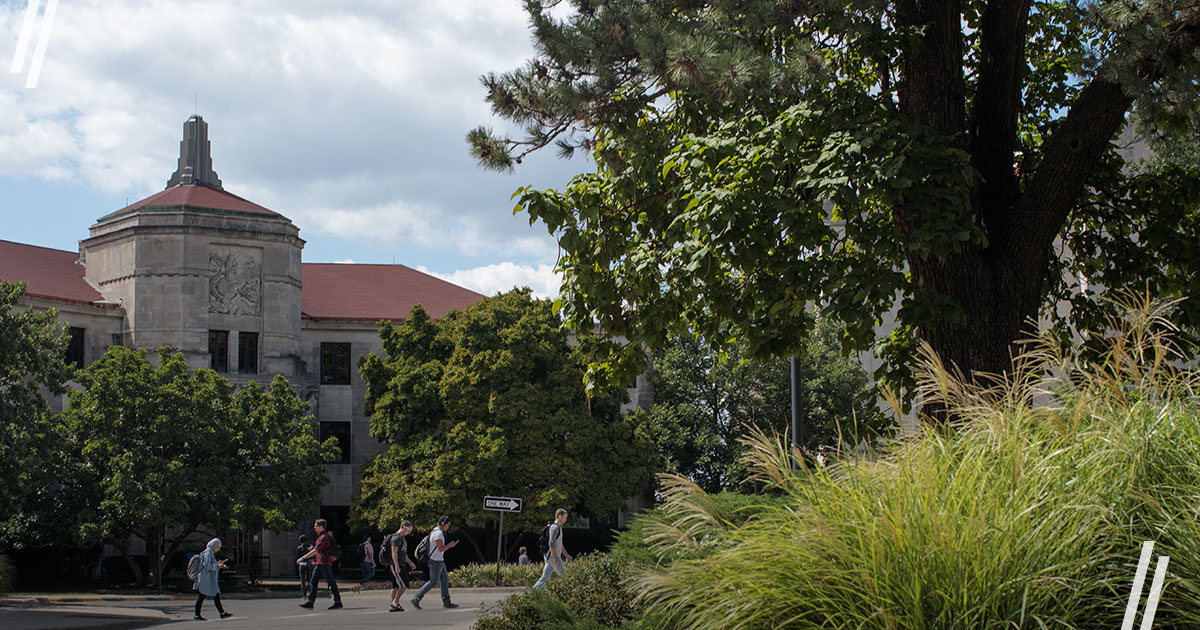 university of kansas phd social work