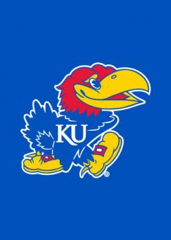 jayhawk placeholder photo for Stormy Lukasavage